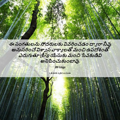 Picture 06 - 1 తిమోతి పత్రిక 4:6 TELIRV - ఈ సంగతులను - Bible Verse Picture