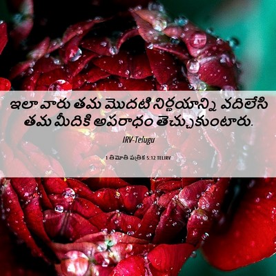 Picture 06 - 1 తిమోతి పత్రిక 5:12 TELIRV - ఇలా వారు తమ మొదటి - Bible Verse Picture