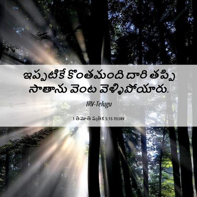Picture 06 - 1 తిమోతి పత్రిక 5:15 TELIRV - ఇప్పటికే కొంతమంది - Bible Verse Picture