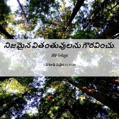 Picture 06 - 1 తిమోతి పత్రిక 5:3 TELIRV - నిజమైన - Bible Verse Picture