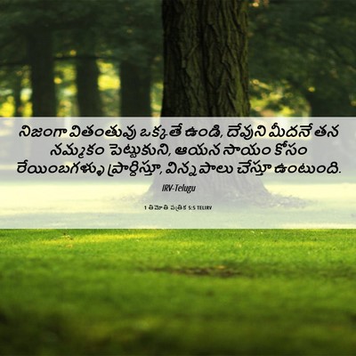 Picture 06 - 1 తిమోతి పత్రిక 5:5 TELIRV - నిజంగా వితంతువు - Bible Verse Picture