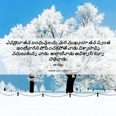 Picture 06 - 1 తిమోతి పత్రిక 5:8 TELIRV - ఎవడైనా తన - Bible Verse Picture