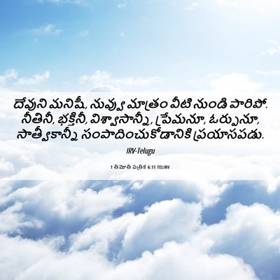Picture 06 - 1 తిమోతి పత్రిక 6:11 TELIRV - దేవుని మనిషీ, - Bible Verse Picture