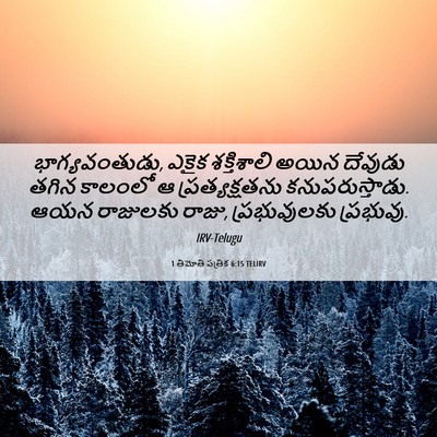 Picture 06 - 1 తిమోతి పత్రిక 6:15 TELIRV - భాగ్యవంతుడు, ఎకైక - Bible Verse Picture