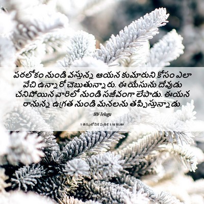 Picture 06 - 1 తెస్సలోనిక పత్రిక 1:10 TELIRV - పరలోకం నుండి - Bible Verse Picture