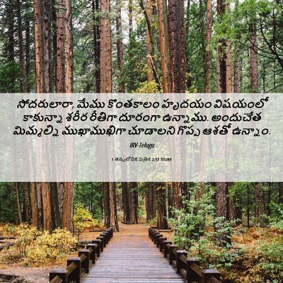 Picture 06 - 1 తెస్సలోనిక పత్రిక 2:17 TELIRV - సోదరులారా, మేము - Bible Verse Picture