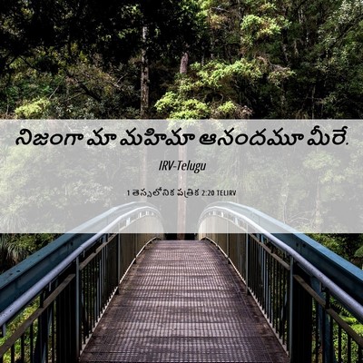 Picture 06 - 1 తెస్సలోనిక పత్రిక 2:20 TELIRV - నిజంగా మా మహిమా - Bible Verse Picture