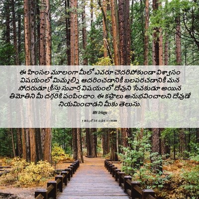 Picture 06 - 1 తెస్సలోనిక పత్రిక 3:3 TELIRV - ఈ హింసల మూలంగా - Bible Verse Picture