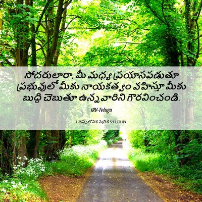 Picture 06 - 1 తెస్సలోనిక పత్రిక 5:12 TELIRV - సోదరులారా, మీ మధ్య - Bible Verse Picture