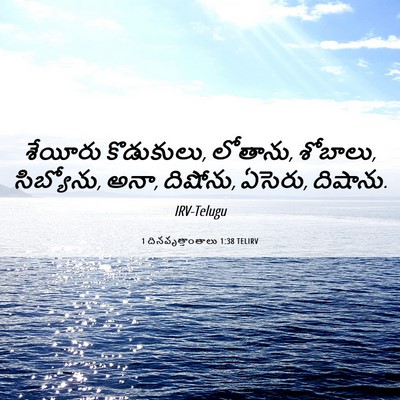 Picture 06 - 1 దినవృత్తాంతాలు 1:38 TELIRV - శేయీరు కొడుకులు, - Bible Verse Picture