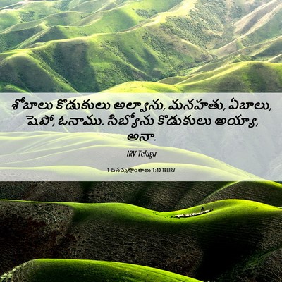 Picture 06 - 1 దినవృత్తాంతాలు 1:40 TELIRV - శోబాలు కొడుకులు - Bible Verse Picture