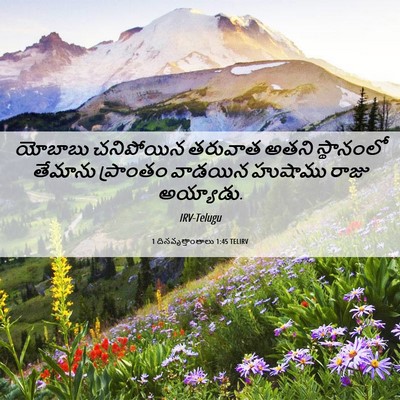 Picture 06 - 1 దినవృత్తాంతాలు 1:45 TELIRV - యోబాబు చనిపోయిన - Bible Verse Picture