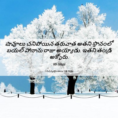 Picture 06 - 1 దినవృత్తాంతాలు 1:49 TELIRV - షావూలు చనిపోయిన - Bible Verse Picture