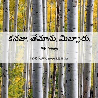 Picture 06 - 1 దినవృత్తాంతాలు 1:53 TELIRV - కనజు, తేమాను, - Bible Verse Picture