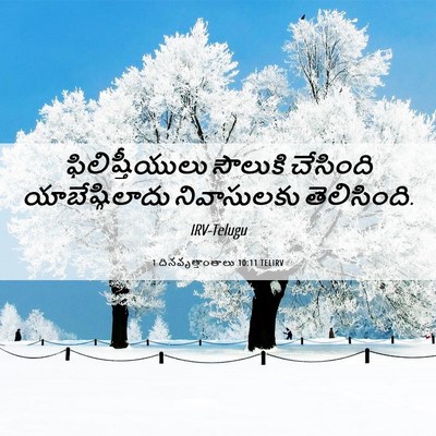 Picture 06 - 1 దినవృత్తాంతాలు 10:11 TELIRV - ఫిలిష్తీయులు - Bible Verse Picture