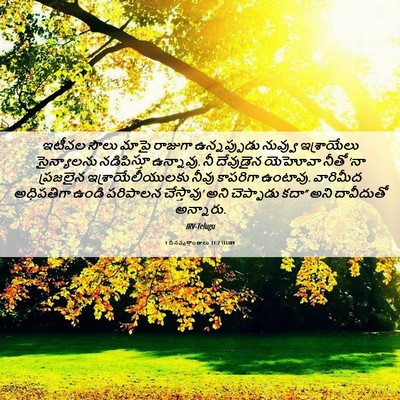 Picture 06 - 1 దినవృత్తాంతాలు 11:2 TELIRV - ఇటీవల సౌలు మాపై - Bible Verse Picture