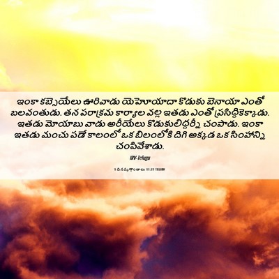 Picture 06 - 1 దినవృత్తాంతాలు 11:22 TELIRV - ఇంకా కబ్సెయేలు - Bible Verse Picture