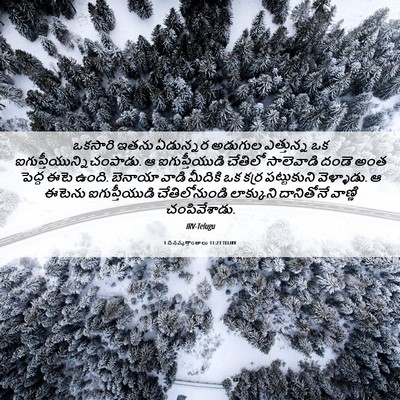Picture 06 - 1 దినవృత్తాంతాలు 11:23 TELIRV - ఒకసారి ఇతను - Bible Verse Picture