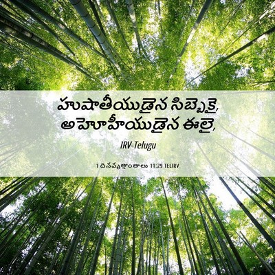 Picture 06 - 1 దినవృత్తాంతాలు 11:29 TELIRV - హుషాతీయుడైన - Bible Verse Picture