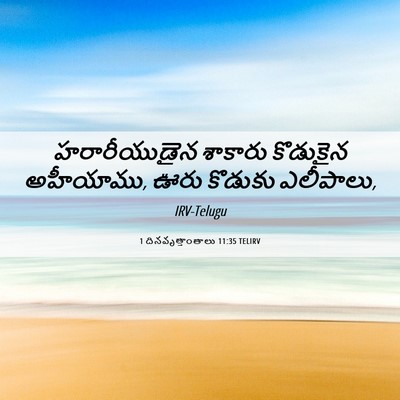 Picture 06 - 1 దినవృత్తాంతాలు 11:35 TELIRV - హరారీయుడైన శాకారు - Bible Verse Picture