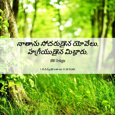 Picture 06 - 1 దినవృత్తాంతాలు 11:38 TELIRV - నాతాను సోదరుడైన - Bible Verse Picture