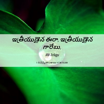 Picture 06 - 1 దినవృత్తాంతాలు 11:40 TELIRV - ఇత్రీయుడైన ఈరా, - Bible Verse Picture