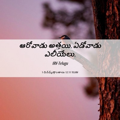 Picture 06 - 1 దినవృత్తాంతాలు 12:11 TELIRV - ఆరోవాడు అత్తయి, - Bible Verse Picture