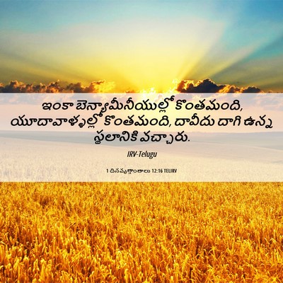 Picture 06 - 1 దినవృత్తాంతాలు 12:16 TELIRV - ఇంకా - Bible Verse Picture