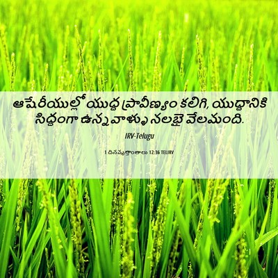 Picture 06 - 1 దినవృత్తాంతాలు 12:36 TELIRV - ఆషేరీయుల్లో యుద్ధ - Bible Verse Picture