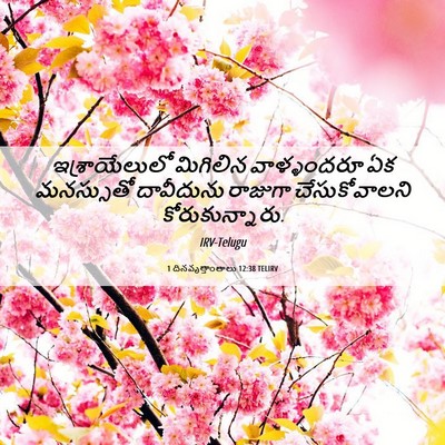 Picture 06 - 1 దినవృత్తాంతాలు 12:38 TELIRV - ఇశ్రాయేలులో - Bible Verse Picture