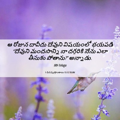 Picture 06 - 1 దినవృత్తాంతాలు 13:12 TELIRV - ఆ రోజున దావీదు - Bible Verse Picture