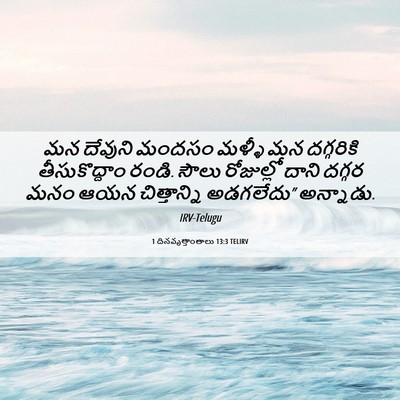 Picture 06 - 1 దినవృత్తాంతాలు 13:3 TELIRV - మన దేవుని మందసం - Bible Verse Picture