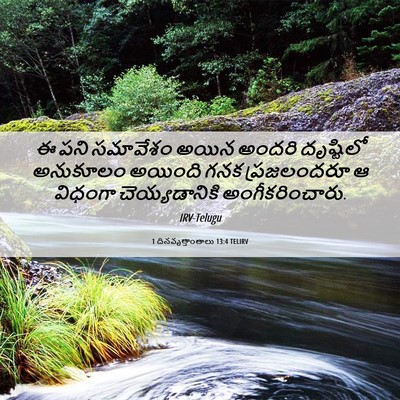 Picture 06 - 1 దినవృత్తాంతాలు 13:4 TELIRV - ఈ పని సమావేశం అయిన - Bible Verse Picture