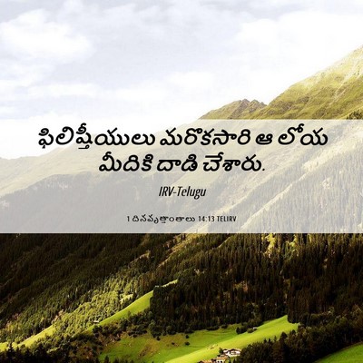 Picture 06 - 1 దినవృత్తాంతాలు 14:13 TELIRV - ఫిలిష్తీయులు - Bible Verse Picture