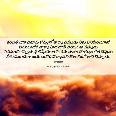 Picture 06 - 1 దినవృత్తాంతాలు 14:15 TELIRV - కంబళి చెట్ల - Bible Verse Picture