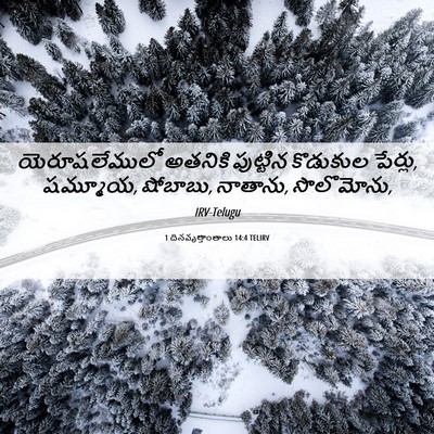 Picture 06 - 1 దినవృత్తాంతాలు 14:4 TELIRV - యెరూషలేములో - Bible Verse Picture