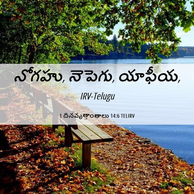 Picture 06 - 1 దినవృత్తాంతాలు 14:6 TELIRV - నోగహు, నెపెగు, - Bible Verse Picture