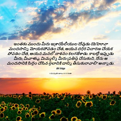 Picture 06 - 1 దినవృత్తాంతాలు 15:13 TELIRV - ఇంతకు ముందు మీరు - Bible Verse Picture