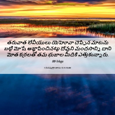Picture 06 - 1 దినవృత్తాంతాలు 15:15 TELIRV - తరువాత లేవీయులు - Bible Verse Picture