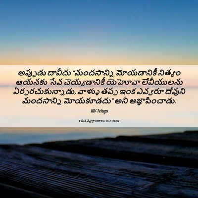 Picture 06 - 1 దినవృత్తాంతాలు 15:2 TELIRV - అప్పుడు దావీదు - Bible Verse Picture