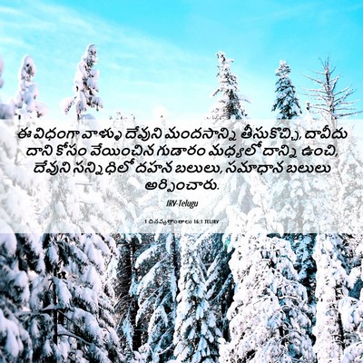 Picture 06 - 1 దినవృత్తాంతాలు 16:1 TELIRV - ఈ విధంగా వాళ్ళు - Bible Verse Picture