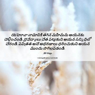 Picture 06 - 1 దినవృత్తాంతాలు 16:29 TELIRV - యెహోవా నామానికి - Bible Verse Picture