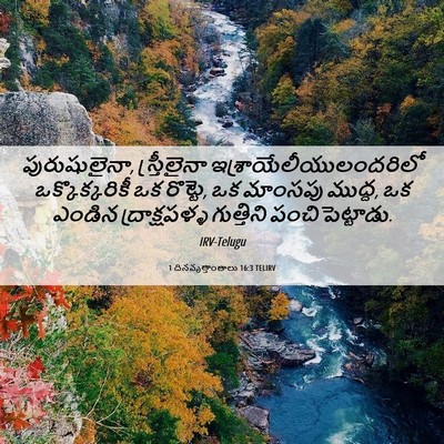 Picture 06 - 1 దినవృత్తాంతాలు 16:3 TELIRV - పురుషులైనా, - Bible Verse Picture