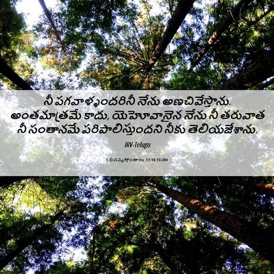 Picture 06 - 1 దినవృత్తాంతాలు 17:10 TELIRV - నీ పగవాళ్ళందరినీ - Bible Verse Picture