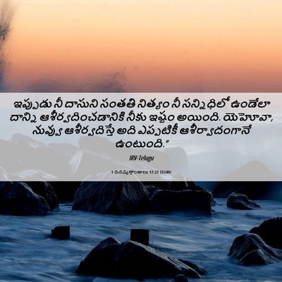 Picture 06 - 1 దినవృత్తాంతాలు 17:27 TELIRV - ఇప్పుడు నీ దాసుని - Bible Verse Picture