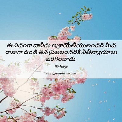 Picture 06 - 1 దినవృత్తాంతాలు 18:14 TELIRV - ఈ విధంగా దావీదు - Bible Verse Picture