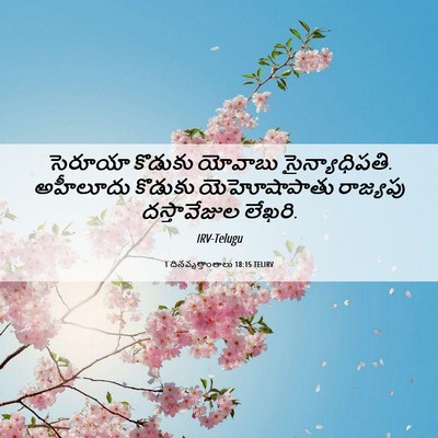 Picture 06 - 1 దినవృత్తాంతాలు 18:15 TELIRV - సెరూయా కొడుకు - Bible Verse Picture