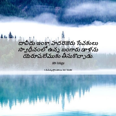 Picture 06 - 1 దినవృత్తాంతాలు 18:7 TELIRV - దావీదు ఇంకా, - Bible Verse Picture