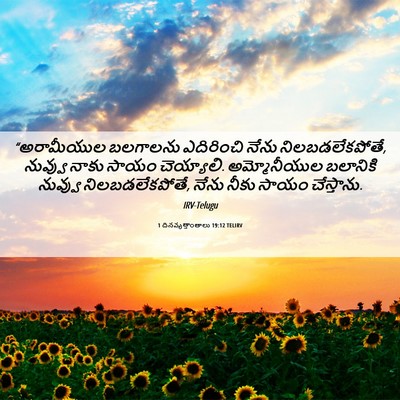Picture 06 - 1 దినవృత్తాంతాలు 19:12 TELIRV - “అరామీయుల బలగాలను - Bible Verse Picture
