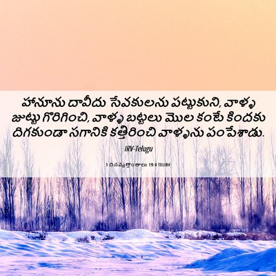 Picture 06 - 1 దినవృత్తాంతాలు 19:4 TELIRV - హానూను దావీదు - Bible Verse Picture